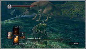 2 - Great Grey Wolf Sif | Jak zabić bossa w Dark Souls - Dark Souls - poradnik do gry