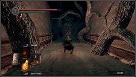 1 - The Bed of Chaos | Jak zabić bossa w Dark Souls - Dark Souls - poradnik do gry