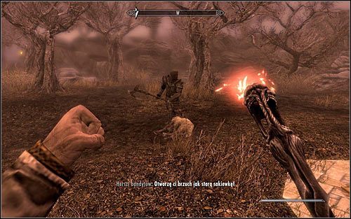 Ponownie wyślij magiczny pocisk w stronę Pelagiusa, co tym razem powinno doprowadzić do pojawienia się w tej okolicy herszta bandytów (powyższy screen) - Rozwiązanie zagadek Sheogoratha | Umysł szaleńca | Solucja Skyrim - Skyrim - poradnik, mapy, questy