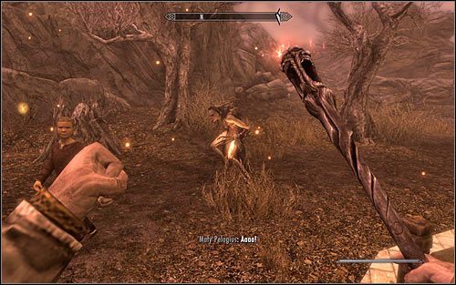 Tradycyjnie już musisz trafić śpiącego Pelagiusa magicznym pociskiem - Rozwiązanie zagadek Sheogoratha | Umysł szaleńca | Solucja Skyrim - Skyrim - poradnik, mapy, questy