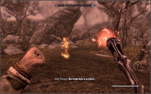 Po raz kolejny użyj Łabadżaka na śpiącym Pelagiusie - Rozwiązanie zagadek Sheogoratha | Umysł szaleńca | Solucja Skyrim - Skyrim - poradnik, mapy, questy