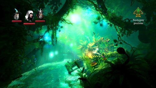 Sekret #3 - Dolina Błotowody - po tym jak ominiesz ogromną żabę wskocz do prawego akwenu znajdującego się pod drewnianą konstrukcją i dopłyń do samego końca jaskini - Sekrety (1) | Sekrety w Trine 2 - Trine 2 - poradnik do gry