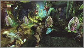 5 - Przekonaj Trujący Bluszcz żeby pozwoliła ci za pomocą swoich roślin dostać się do skarbca skonfiskowanych dóbr TYGERA | Misje Kobiety-Kota - Batman: Arkham City - poradnik do gry