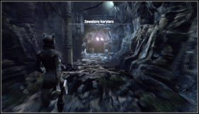 6 - Dostań się do skarbca skonfiskowanych dóbr TYGERA | Misje Kobiety-Kota - Batman: Arkham City - poradnik do gry