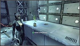 5 - Włam się do głównego skarbca i zdobądź łupy | Misje Kobiety-Kota - Batman: Arkham City - poradnik do gry