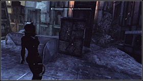 6 - Mila Rozrywki - Kamery TYGERA, Balony, Trofea Kobiety-Kota | Zagadki - Batman: Arkham City - poradnik do gry