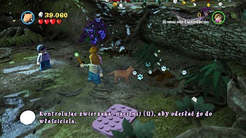 Ostatni fragment znajdziemy po prawej stronie, najpierw oczyszczamy miejsce czarem WL, a następnie przywołujemy Krzywołapa i kopiemy - Wielki wirtuoz | Opis przejścia - Rok 5 | LEGO Harry Potter Lata 5-7 - LEGO Harry Potter: Lata 5-7 - poradnik do gry