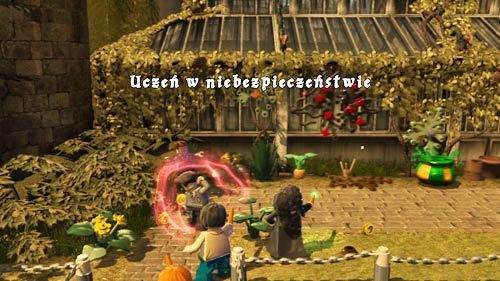 Dziedziniec klasy ziołolecznictwa - zobaczymy jak jeden uczeń dokucza drugiemu uczniowi polewając go wodą, wystarczy że strzelimy w złego ucznia z dowolnego czaru by go powstrzymać - Uczniowie w niebezpieczeństwie (2) | Dodatkowe znajdźki | LEGO HP Lata 5-7 - LEGO Harry Potter: Lata 5-7 - poradnik do gry