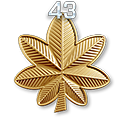 31 - Rangi | Klasy i Specjalizacje | Battlefield 3 - Battlefield 3 - poradnik do gry