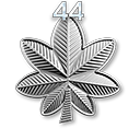 60 - Rangi | Klasy i Specjalizacje | Battlefield 3 - Battlefield 3 - poradnik do gry