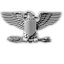 60 - Rangi | Klasy i Specjalizacje | Battlefield 3 - Battlefield 3 - poradnik do gry