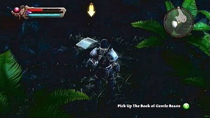 Rodzaj trofeum: brązowe - Kingdoms of Amalur Reckoning: Trofea - lista - Kingdoms of Amalur: Reckoning - poradnik do gry