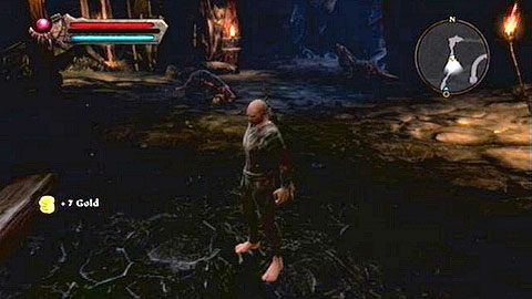 Gdy drzwi zostaną otwarte, przebiegnij na drugą stronę i kieruj się cały czas prosto - Kingdoms of Amalur Reckoning: Well of Souls - solucja, opis przejścia - Kingdoms of Amalur: Reckoning - poradnik do gry