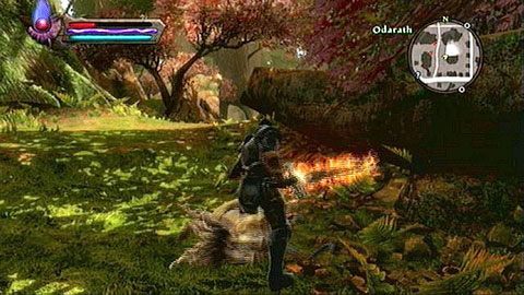 Zwierzęta znajdziesz w południowej części lokacji - Kingdoms of Amalur Reckoning: Odarath II (1) - solucja, opis przejścia - Kingdoms of Amalur: Reckoning - poradnik do gry