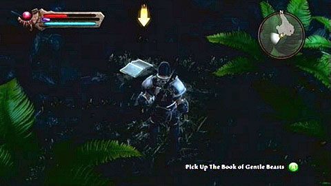 Zabijając napotkanych przeciwników, musisz dotrzeć do pozostawionej na końcu tunelu książki - Kingdoms of Amalur Reckoning: Odarath II (2) - solucja, opis przejścia - Kingdoms of Amalur: Reckoning - poradnik do gry