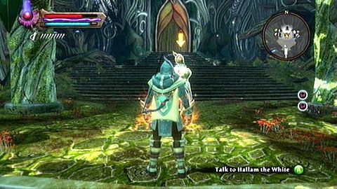 Bez względu na dokonany wybór, udaj się do wspomnianej lokacji i porozmawiaj z Hallamem - Kingdoms of Amalur Reckoning: Odarath II (5) - solucja, opis przejścia - Kingdoms of Amalur: Reckoning - poradnik do gry