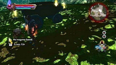 Bestie znajdziesz w południowo-wschodniej części lokacji, niedaleko opuszczonego wozu M8(7) - Kingdoms of Amalur Reckoning: The Sidhe - solucja, opis przejścia - Kingdoms of Amalur: Reckoning - poradnik do gry