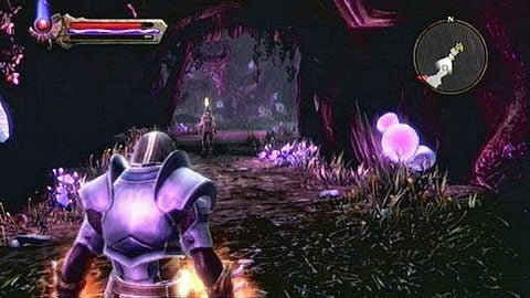 Wewnątrz podziemi ponownie porozmawiaj z mężczyzną - Kingdoms of Amalur Reckoning: The Sidhe - solucja, opis przejścia - Kingdoms of Amalur: Reckoning - poradnik do gry