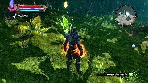 Rośnie ono w północnej części lasu M8(5) - Kingdoms of Amalur Reckoning: The Sidhe - solucja, opis przejścia - Kingdoms of Amalur: Reckoning - poradnik do gry