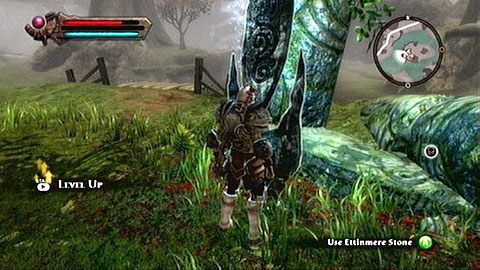 Kamień stoi na wysepce wysuniętej maksymalnie na północny-zachód jeziora - Kingdoms of Amalur Reckoning: Etinmere - kamienie Lorestone, mapa - Kingdoms of Amalur: Reckoning - poradnik do gry