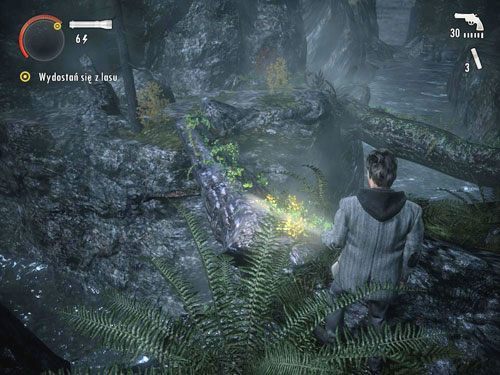 Po przerywniku filmowym pozbieraj leżące na ziemi wyposażenie i ruszaj w dalszą drogę - Alan Wake: Park Narodowy Elderwood (2) | Odcinek 2- Opętany | Solucja - Alan Wake - poradnik do gry