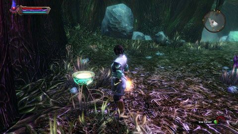 Pamiętaj również o używaniu dźwigni otwierających przejścia - The Wolds (3) | Zadania poboczne w Kingdoms of Amalur Reckoning - Kingdoms of Amalur: Reckoning - poradnik do gry