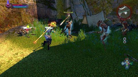 Blackshrieka znajdziesz w północno-wschodnim rogu równicy M2(4) - Tala-Rane (3) | Zadania poboczne w Kingdoms of Amalur Reckoning - Kingdoms of Amalur: Reckoning - poradnik do gry