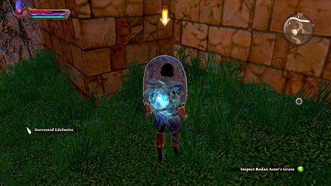 Na początku musisz odzyskać amulety dwójki braci - Tala-Rane (5) | Zadania poboczne w Kingdoms of Amalur Reckoning - Kingdoms of Amalur: Reckoning - poradnik do gry