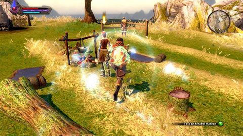 Różdżkę możesz zanieść Serabel M7(7) albo kapłance Graem z Tirins Rest M7(1) - Galafor-Acatha (2) | Zadania poboczne w Kingdoms of Amalur Reckoning - Kingdoms of Amalur: Reckoning - poradnik do gry