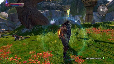 W północnej części lokacji natkniesz się na kobietę o imieniu Idwa Windfrond M8(6) - Forsaken Plain I (2) | Zadania poboczne w Kingdoms of Amalur Reckoning - Kingdoms of Amalur: Reckoning - poradnik do gry