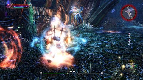 Aby dostać się do klucza, musicie zdobyć trzy inne przedmioty chronione przez grupy bestii - Drowned Forest (4) | Zadania poboczne w Kingdoms of Amalur Reckoning - Kingdoms of Amalur: Reckoning - poradnik do gry