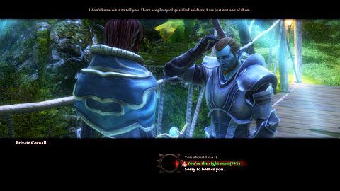 Będziesz mógł wtedy zabrać ze sobą Odiego do zamku - Caeled Coast (4) | Zadania poboczne w Kingdoms of Amalur Reckoning - Kingdoms of Amalur: Reckoning - poradnik do gry