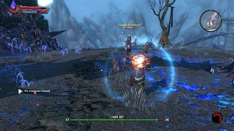 Gdy zginą, będziesz mógł stawić czoła Gaskowi czekającemu na końcu górskiej ścieżki M14(8) - Twilight Pass (1) | Zadania poboczne w Kingdoms of Amalur Reckoning - Kingdoms of Amalur: Reckoning - poradnik do gry