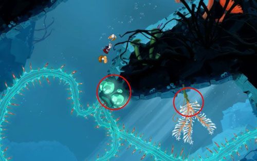 Dalej po lewej i prawej stronie znajdziesz roślinki (8 L) - Pływanie z Gwiazdami (300 L, 1:25) | Morze Szczęśliwości | Rayman Origins - Rayman Origins - poradnik do gry