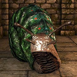Giand Snail - Bestiariusz | Podstawy gry | Dragon Age II Dziedzictwo - Legend of Grimrock - poradnik do gry