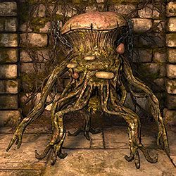 Herder - Bestiariusz | Podstawy gry | Dragon Age II Dziedzictwo - Legend of Grimrock - poradnik do gry