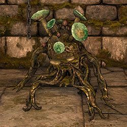 Young Herder - Bestiariusz | Podstawy gry | Dragon Age II Dziedzictwo - Legend of Grimrock - poradnik do gry