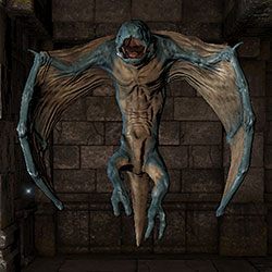 Wyvern - Bestiariusz | Podstawy gry | Dragon Age II Dziedzictwo - Legend of Grimrock - poradnik do gry