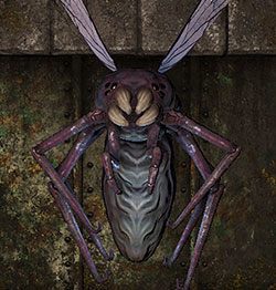 Shrakk Torr - Bestiariusz | Podstawy gry | Dragon Age II Dziedzictwo - Legend of Grimrock - poradnik do gry