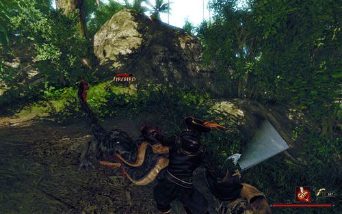 W czasie tej misji wybijesz cały kurnik. - Wyprawa | Zadania - Zatoka Marakajów | Risen 2 Mroczne Wody - Risen 2: Mroczne wody - poradnik do gry