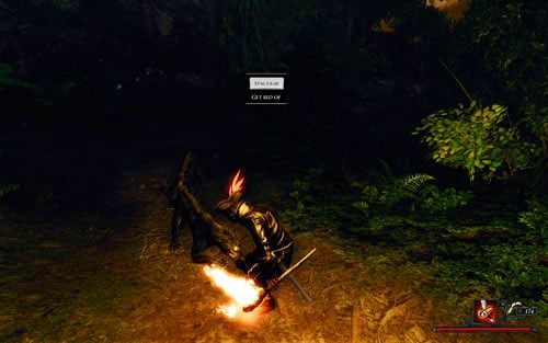 Jeśli przejdziesz przez most, będziesz musiał walczyć z kilkoma panterami. - Wyprawa | Zadania - Zatoka Marakajów | Risen 2 Mroczne Wody - Risen 2: Mroczne wody - poradnik do gry