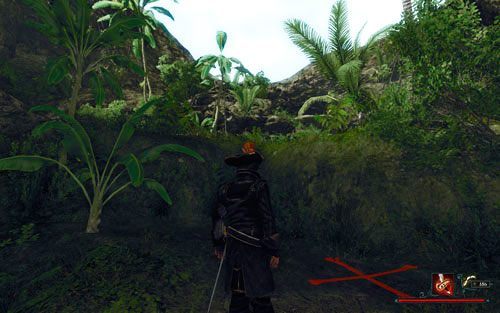 Ładne miejsce na ukrycie kosztowności. - Skarb na terenach łowieckich | Zadania - Zatoka Marakajów | Risen 2 Mroczne Wody - Risen 2: Mroczne wody - poradnik do gry