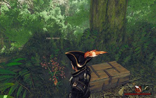 Tutejsza papryka przypomina bardziej chwast, niż warzywo. - Ogniste papryczki | Zadania - Zatoka Marakajów | Risen 2 Mroczne Wody - Risen 2: Mroczne wody - poradnik do gry