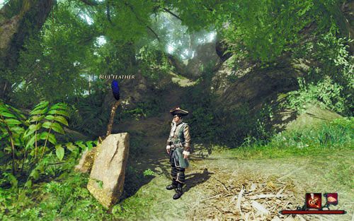 Trudno go nie zauważyć. - Niebieskie pióro | Zadania - Zatoka Marakajów | Risen 2 Mroczne Wody - Risen 2: Mroczne wody - poradnik do gry