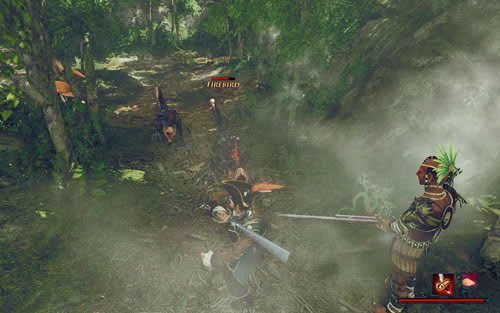 Uwaga na ptaszyska! - Idź za Hakeke do jaskini | Zadania - Zatoka Marakajów | Risen 2 Mroczne Wody - Risen 2: Mroczne wody - poradnik do gry