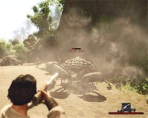 Użycie broni palnej w walce z krabami to dobry pomysł, trzeba jednak trzymać wrogów na dystans. - Krabobicie z Blakiem | Zadania - Tacarigua | Risen 2 Mroczne Wody - Risen 2: Mroczne wody - poradnik do gry