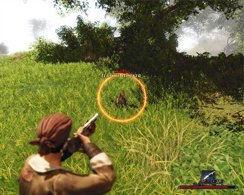 Robotników odciągamy od wykonywanych zajęć i zabijamy ich na uboczu, z dala od towarzyszy. - Plaga termitów | Zadania - Tacarigua | Risen 2 Mroczne Wody - Risen 2: Mroczne wody - poradnik do gry