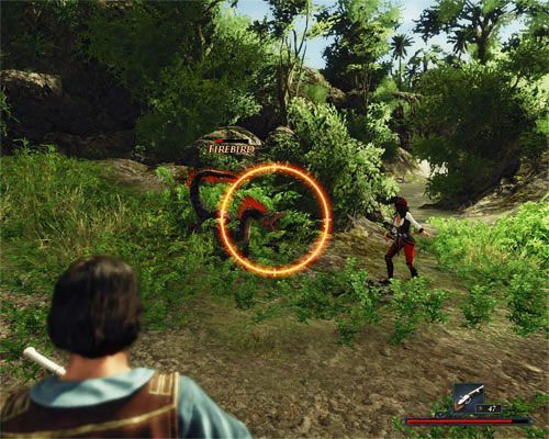 Trzymaj się z tyłu i atakuj wrogów z dystansu. Towarzysze zrobią resztę. - Ogniste ptaki blokują most | Zadania - Wybrzeże Ostrzy | Risen 2 Mroczne Wody - Risen 2: Mroczne wody - poradnik do gry