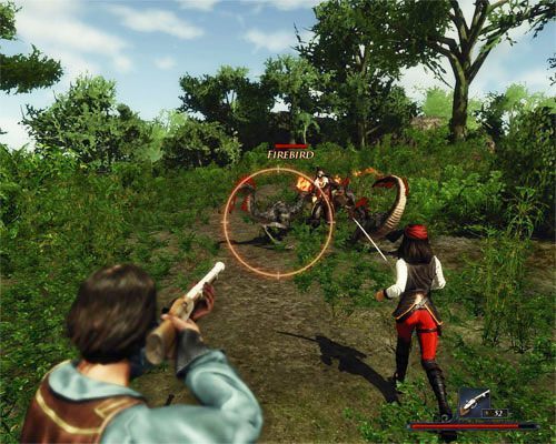 Niech Patty i Stalowobrody wezmą na siebie ciężar ataku na Ogniste ptaki. - Polowanie na Ogniste ptaki | Zadania - Wybrzeże Ostrzy | Risen 2 Mroczne Wody - Risen 2: Mroczne wody - poradnik do gry