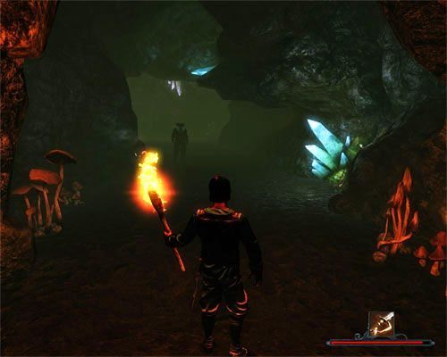 Stalowbrody na każdym kroku będzie odradzać kontynuowanie wędrówki przez jaskinię. - Przez jaskinię szczurów | Zadania - Wybrzeże Ostrzy | Risen 2 Mroczne Wody - Risen 2: Mroczne wody - poradnik do gry